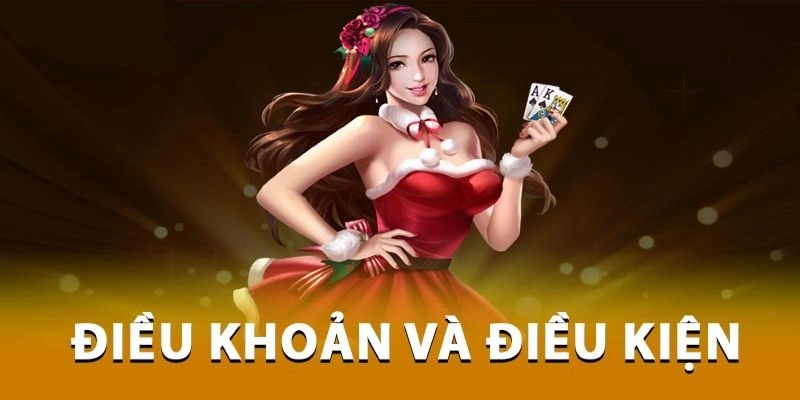 Tổng quan điều khoản điều kiên VM88